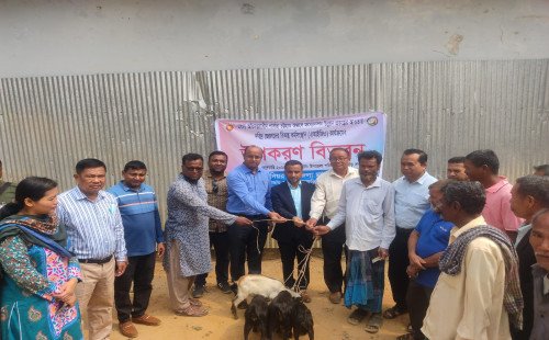 খাগড়াছড়িতে মৎস্য অফিস থেকে বিকল্প কর্মসংস্থান হিসেবে ছাগল পেলো দরিদ্র জেলেরা 