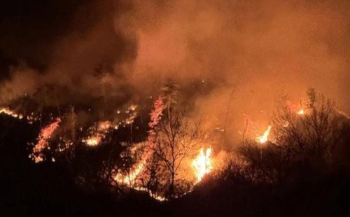 দক্ষিণ কোরিয়ায় ছড়িয়ে পড়া দাবানলে ২ দমকল কর্মীর মৃত্যু 