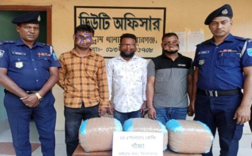 অষ্টগ্রামে ১৫ কেজি গাজাসহ ৩ মাদক ব্যবসায়ী গ্রেফতার 