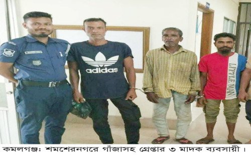 কমলগঞ্জে গাঁজাসহ ৩ মাদক ব্যবসায়ী গ্রেপ্তার 