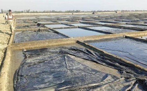 চট্টগ্রামের বাঁশখালীতে লবণ মাঠ বিরোধকে কেন্দ্র করে সংঘর্ষ, গুলিবিদ্ধসহ আহত ৩০ 