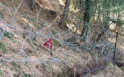 পাকিস্তানের পাল্টা হামলায় ভারতে নিহত ৩ 