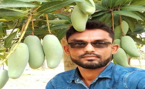 ঘরে বসেই সাপাহারের রাজভোগ – আস্থার নাম ‘সাপাহার আমের হাট’ 