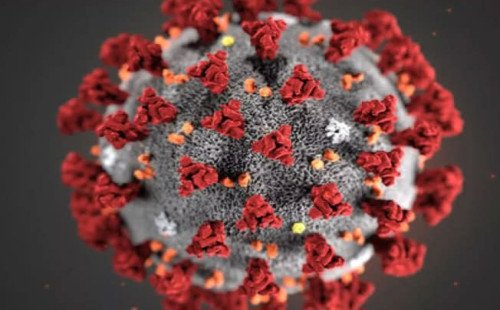 ৩ জনের করোনা শনাক্ত 