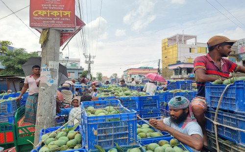 সাপাহার আমের হাট ক্রেতা বিক্রেতার পদচারণায় জমজমাট 