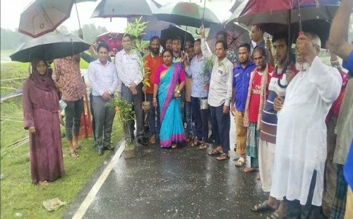 ঝালকাঠিতে সড়কের পাশে বিভিন্ন প্রজাতির তিন শতাধিক গাছের চারা রোপন 
