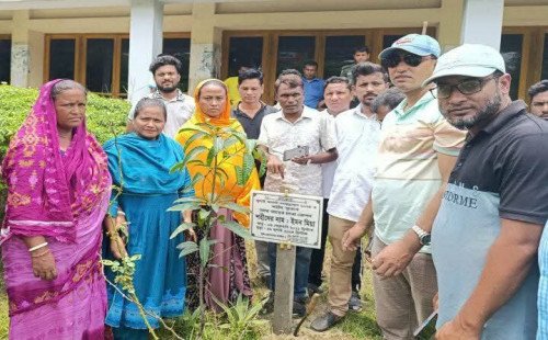 অষ্টগ্রামে জুলাই আগস্ট গণঅভ্যুত্থানে শহীদের স্মরণে বৃক্ষ রোপণ 