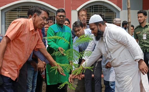 নবীনগরে ‘এক শহীদ, এক বৃক্ষ’ কর্মসূচিতে পাঁচ শহীদের স্মরণে বৃক্ষরোপণ 