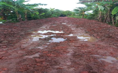 ৫ বছরেও হয়নি সড়ক মেরামত, দুর্ঘটনা থেকে বাঁচতে ব্যক্তিগত অর্থায়নে এলাকাবাসীর সড়ক সংস্কার 