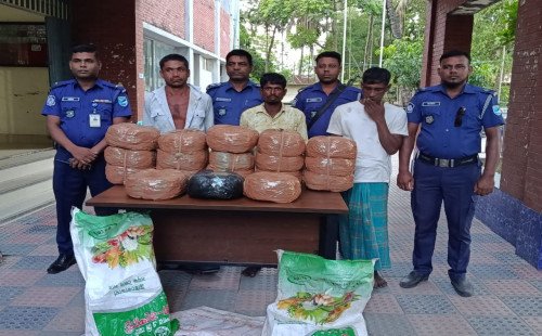 ক্রেতার হাতে পৌছে দেওয়ার আগেই গাঁজার বিশাল চালান নিয়ে আটক ৩ 