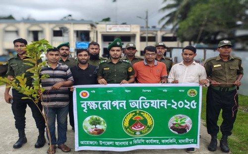 কালকিনি উপজেলা আনসার ও ভিডিপির উদ্যোগে বৃক্ষরোপণ অভিযান 
