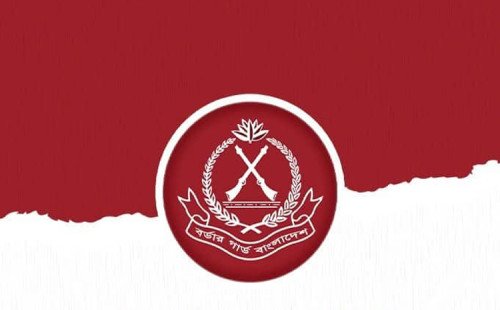 দুর্গাপূজাকে ঘিরে যশোর সীমান্তে স্বর্ণ পাচার বেড়েছে, আট মাসে ২৩ কোটির স্বর্ণ জব্দ 